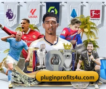 专业赛事服务, 为你而来
